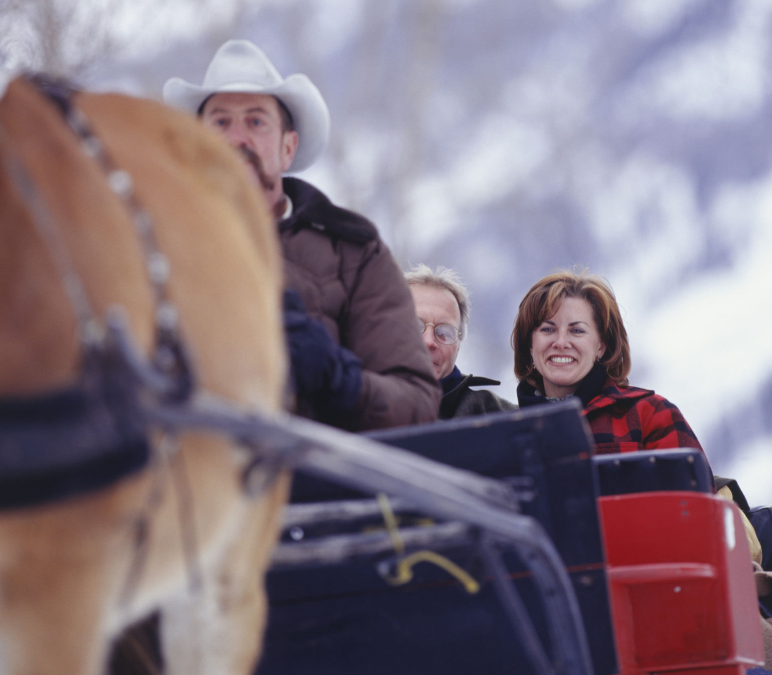 Horse-drawn carriage rides